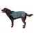 Brauner Hund trägt eine blaue Hundejacke mit schwarzem Kragen und sichtbarem Logo auf der Seite.