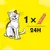 Feeding guide showing one Creamy stick per 24 hours, with an illustrated cat beside the product.