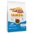 IAMS Advanced Nutrition Kitten, z rybą morską - 2 x 10 kg
