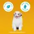 Pedigree Tasty Minis - Puppy - Chicken (125g)