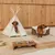 Hund in weißem Tipi-Zelt und Hund neben rundem Tierbett mit Zebramuster. Holz-Futternapfhalter mit zwei Edelstahlnäpfen auf Teppich.