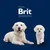 Brit Premium by Nature, 6 x 400 g