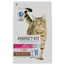 Perfect Fit Sterile 1+ s lososem - 2 x 2,8 kg