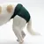 Cane con pannolino verde per cani, vista laterale. Prodotto di supporto per incontinenza o calore.