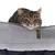 Graues Haustierbett mit Textilbezug und braunen Akzenten, darauf liegt eine getigerte Katze.