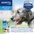 ADAPTIL Calm Collar for dogs, clinically proven and veterinary recommended, helps keep dogs calm and adaptable when out, ideal for walking, travelling and staying away from home.