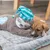 Chiot allongé sur un tapis matelassé gris avec une peluche paresseux grise portant un bonnet rayé bleu et blanc, cœur brodé sur la peluche. Matériaux visibles : tissu.