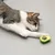 Chat tigré et blanc allongé sur le sol, patte tendue vers un jouet en forme d’avocat avec une boule verte au centre.