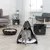 Prodotti in feltro grigio per gatti: tipi con struttura in legno e cuscino, letto rotondo con imbottitura in peluche, cesta aperta. Gatto nel tipi. Soggiorno moderno sullo sfondo.