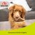 8in1 Better Bello Bâtonnets de poulet torsadés pour chien
