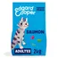 Edgard & Cooper Adult graanvrije zalm voor katten - Dubbelpak: 2 x 2 kg