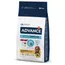 Advance Sensitive Adult Lam & Rijst - Dubbelpak: 2 x 12 kg