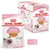 Royal Canin Kitten up to 12 months, Chunks in Jelly, 85g pouch, pack of 12, soft texture for milk teeth, stage 3.