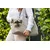 Trasportino per cani Designed by Lotte Bundu