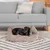 Hund liegt in einem braunen, gerippten Hundebett auf einem Teppich vor einem grauen Sofa.