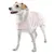 Dog wearing a pink coat with hood, suitable for cold days or after bathing.