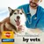 Pedigree Dentastix recommended by vets, shown with a dog and a person in veterinary uniform.