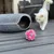 Aumüller kattelekeball Pink Plush