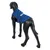 Maniquí de perro negro lleva una chaqueta azul para perro con una franja reflectante en la espalda.