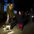 Person using an illuminated retractable lead to walk a dog at night, showing the lead’s built-in light for visibility and safety in low-light conditions.