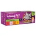 Whiskas 1+ Tasty Mix Chef's Choice in Gravy - 40 x 85g