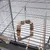 Cage en métal avec balançoire suspendue en bois et éléments naturels, perchoirs en bois et gamelle métallique visibles à l’intérieur.