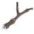 Wooden perch with metal attachment, suitable for cages or aviaries.