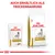 Royal Canin Urinary S/O Ageing 7+ voor honden, verkrijgbaar als nat- en droogvoer. Verpakkingen met hondenafbeelding en productdetails zichtbaar.