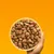 Hand holding a bowl filled with brown, chunky dry pet food pieces against an orange background.