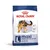 Royal Canin Maxi Adult, size L, for dogs from 26 to 44 kg. Supports digestive health and optimal health.