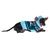 Hund trägt einen blau-grünen Strickpullover mit Rentiermotiv und Kapuze mit braunen Geweih-Applikationen.