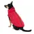 Cane con cappotto rosso con strisce rifrangenti e cerniera sulla schiena.