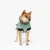 Chien portant un manteau vert clair avec détails noirs, vu de face. Le manteau couvre le dos et le poitrail du chien.