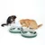 Dos gatos juegan con un juguete interactivo verde que contiene dos ratones blancos en recorridos móviles.