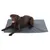 Brauner Hund liegt auf einer grauen Matte. Produkt zeigt eine Haustiermatte in rechteckiger Form.