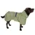 Chien marron portant un manteau imperméable vert clair avec harnais intégré et cordon de serrage, marque visible : D&D.
