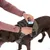 Person legt eine blaue Kotbeutelrolle in die Seitentasche eines olivgrünen Hundegeschirrs, das auf einem braunen Hund getragen wird.