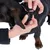 Close-up van een hond waarvan de halsband met een kliksluiting wordt vastgemaakt. Handen tonen het juiste gebruik van de sluiting.