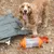 Nomad Tales Futterbehälter mit orangefarbenem Deckel und Tragegurt, auf einem Outdoor-Untergrund neben einer grauen Hundematte.
