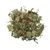 Mélange visible de feuilles séchées, morceaux de tiges, fleurs et petits morceaux rouges, présenté en vrac sur fond blanc. Aucun emballage ou marque n’est visible.