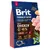 Brit Premium by Nature hondenvoer, junior large L, kip 45%, voor jonge honden van grote rassen 25–45 kg. GMO free. Afbeeldingen van kip, rozemarijn en bosbessen zichtbaar op verpakking.