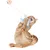 Red cat playing with a toy attached to a string, featuring white and blue feathers.