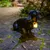 Hund mit leuchtendem Anhänger am Halsband für bessere Sichtbarkeit bei Dunkelheit.