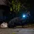 Chien noir en laisse avec médaillon lumineux bleu fixé au collier, assis à côté d’une personne sur un trottoir la nuit.