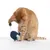Red cat playing with a blue fabric mouse on a string. Toy for cats.