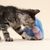 TIAKI Elektronisches Katzenspielzeug Tintenfisch-Pirat