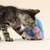 TIAKI Elektronisches Katzenspielzeug Tintenfisch-Pirat