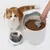 Feed scoop with cat design, white container with dry food and stainless steel bowl engraved 'Catit', cat in background.