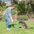 Person zeigt einem Hund die Verwendung eines Ballwerfers auf einer Wiese.