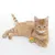 Gato naranja tumbado junto a una pelota de juego colorida sobre fondo blanco.